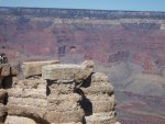 grand canyon 2.jpg