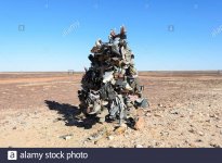 Shoetree Eyre Dvl Rd Birdsville Qld.jpg