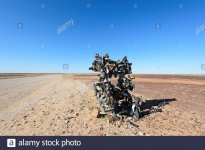 Shoetree Eyre Dvl Rd Birdsville Qld 2.jpg